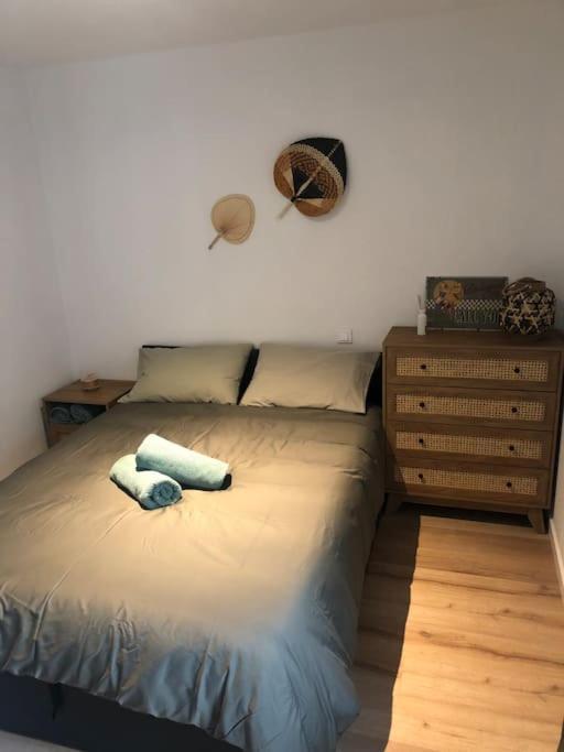 Appartement Cosy-Grand Stade Villeneuve D'Ascq Лезен Экстерьер фото